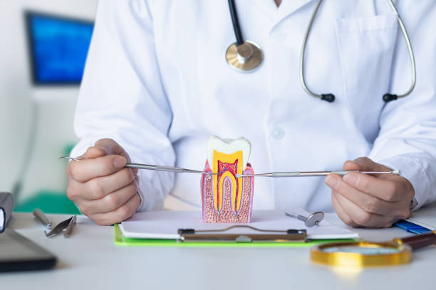 Best Mobile Emergency Dentist in Vineyard Haven, MA